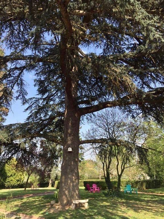 Chateau De Breuil En Beaujolais Salles-Arbuissonnas-en-Beaujolais エクステリア 写真
